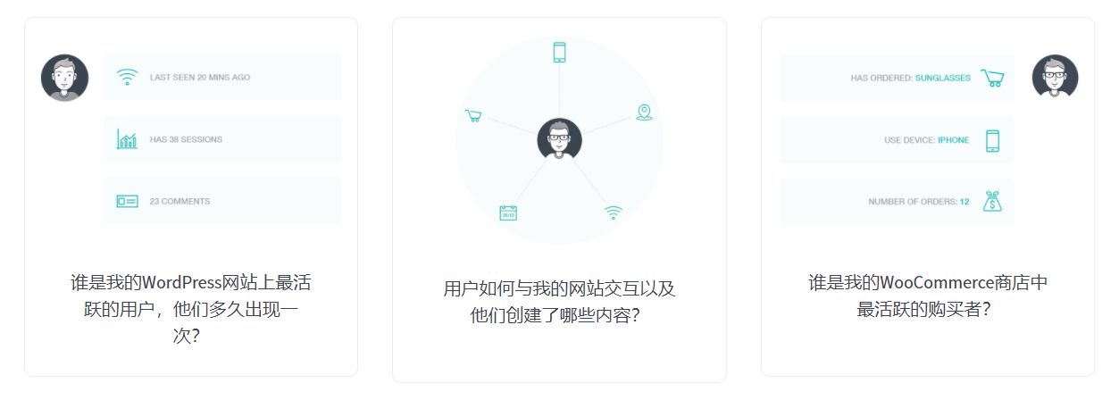 Users Insights汉化版V4.4.2 用户行为足迹跟踪分析WordPress插件 - 图片2 Users Insights汉化版V4.4.2 用户行为足迹跟踪分析WordPress插件 - 图片2