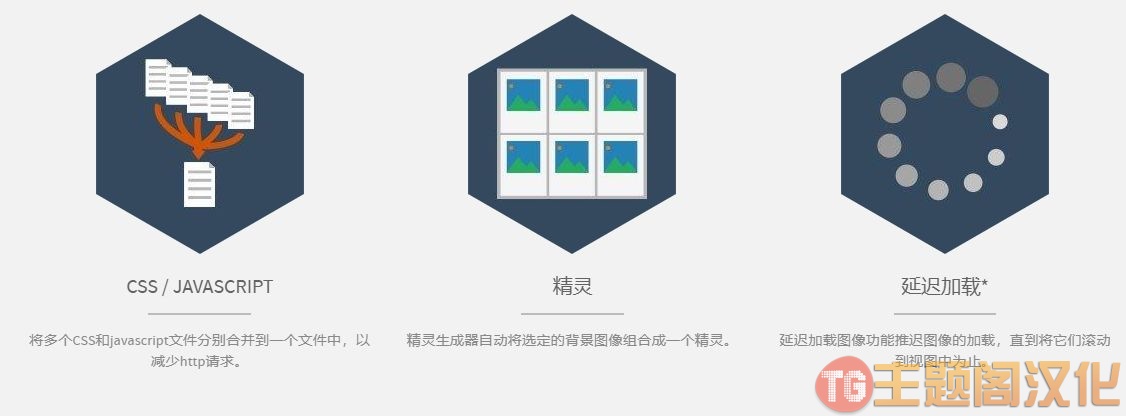 JCH Optimize PRO v9.2.1_Joomla网站优化插件 - 图片2