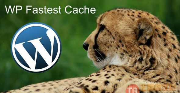 WP Fastest Cache Premium汉化版_页面缓存网站优化插件 WP Fastest Cache Premium汉化版_页面缓存网站优化插件