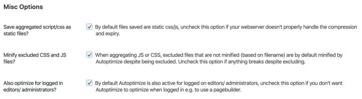 autoptimize-misc-optimization