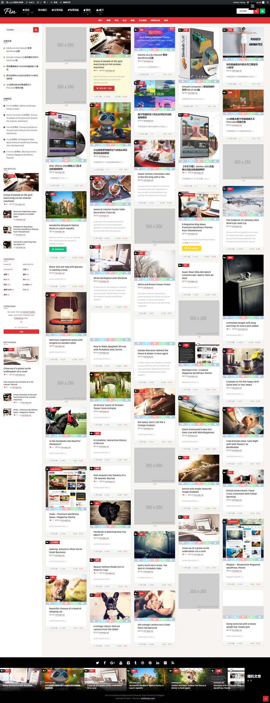 Pin汉化版(v6.7)Pinterest风格瀑布流图片网站WordPress主题 带一键还原数据包 - 图片3 Pin汉化版(v6.7)Pinterest风格瀑布流图片网站WordPress主题 带一键还原数据包 - 图片3