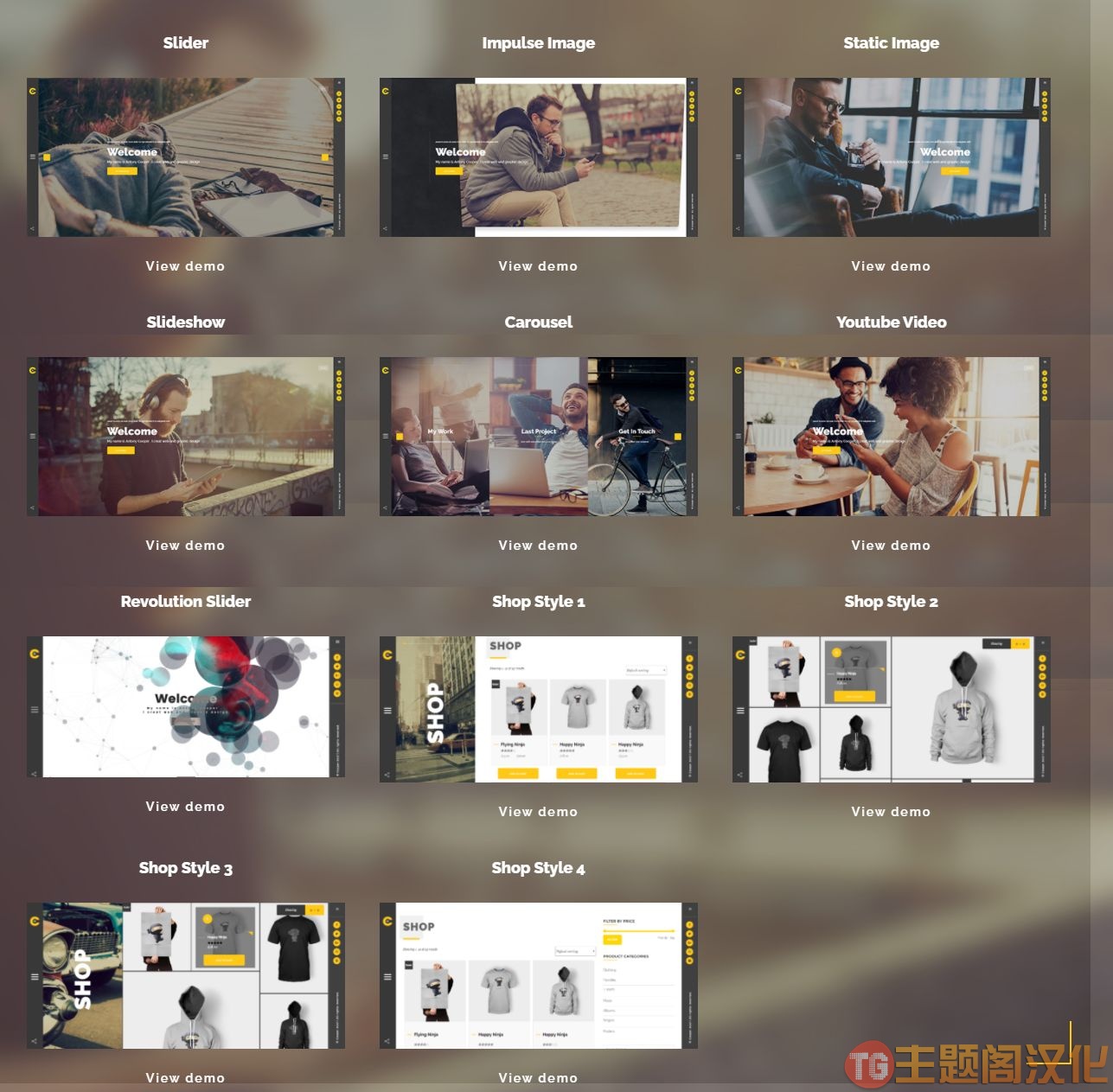 Cooper破解版v5.4.3|摄影师|建筑师|插画师作品集WordPress主题 Cooper破解版v5.4.3|摄影师|建筑师|插画师作品集WordPress主题