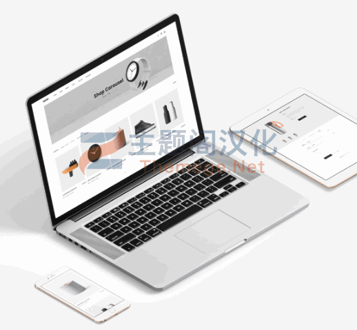 Seese汉化版 | 家具装饰品跨境电商WordPress主题 - 图片2