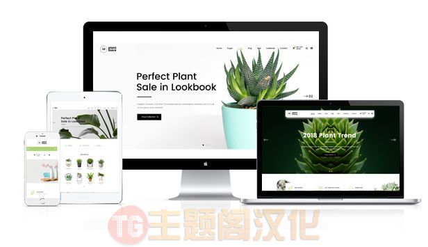 Plantmore观赏植物花卉商城WooCommerce主题V1.2.1 - 图片2