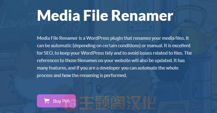 Media File Renamer Pro媒体库文件重命名WordPress插件 Media File Renamer Pro媒体库文件重命名WordPress插件