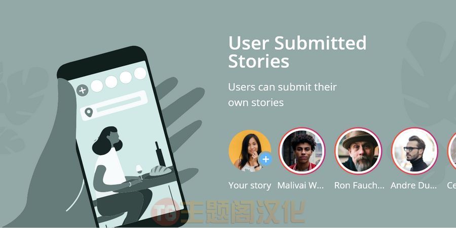 WP Story Premium破解版 instagram风格故事构建器WordPress插件 - 图片3