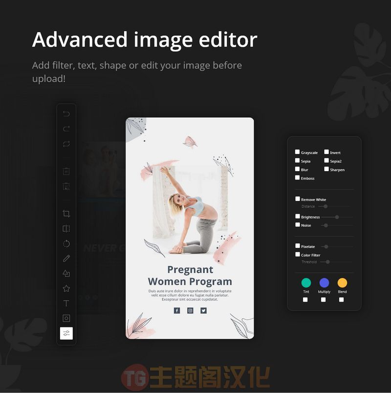 WP Story Premium破解版 instagram风格故事构建器WordPress插件 - 图片5