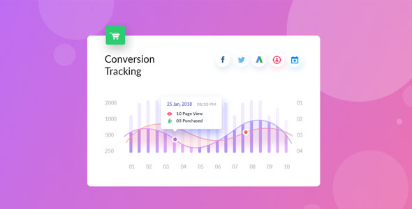 Conversion Tracking Pro转化率跟踪分析和人群定位WooCommerce插件 Conversion Tracking Pro转化率跟踪分析和人群定位WooCommerce插件