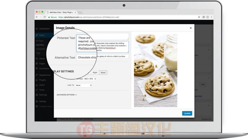 Tasty Pins(v2.3.1)网站SEO和Pinterest图片优化WordPress插件 - 图片2
