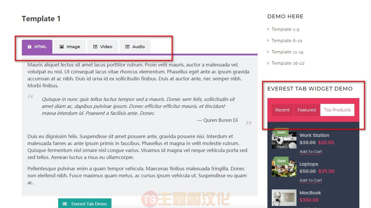 WordPress插件Everest Tab汉化版1.1.8 响应式选项卡构建器 - 图片2