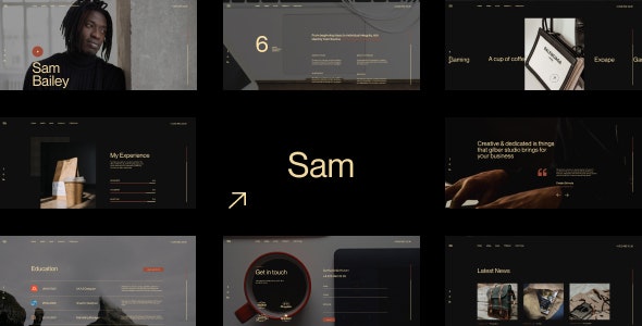 Sam Bailey(v1.1.1)个人简历名片网站WordPress主题 - 图片1 Sam Bailey(v1.1.1)个人简历名片网站WordPress主题 - 图片1