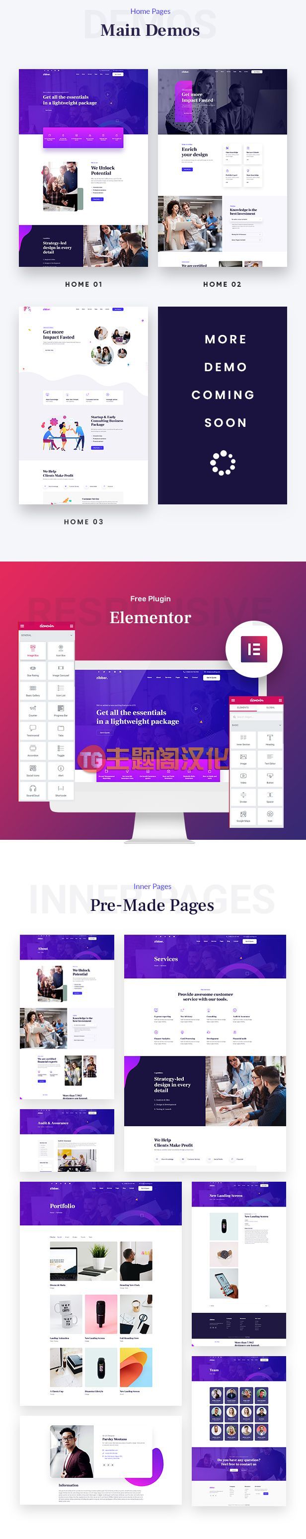 Zibber商业咨询服务网站WordPress主题V2.0.1 - 图片2