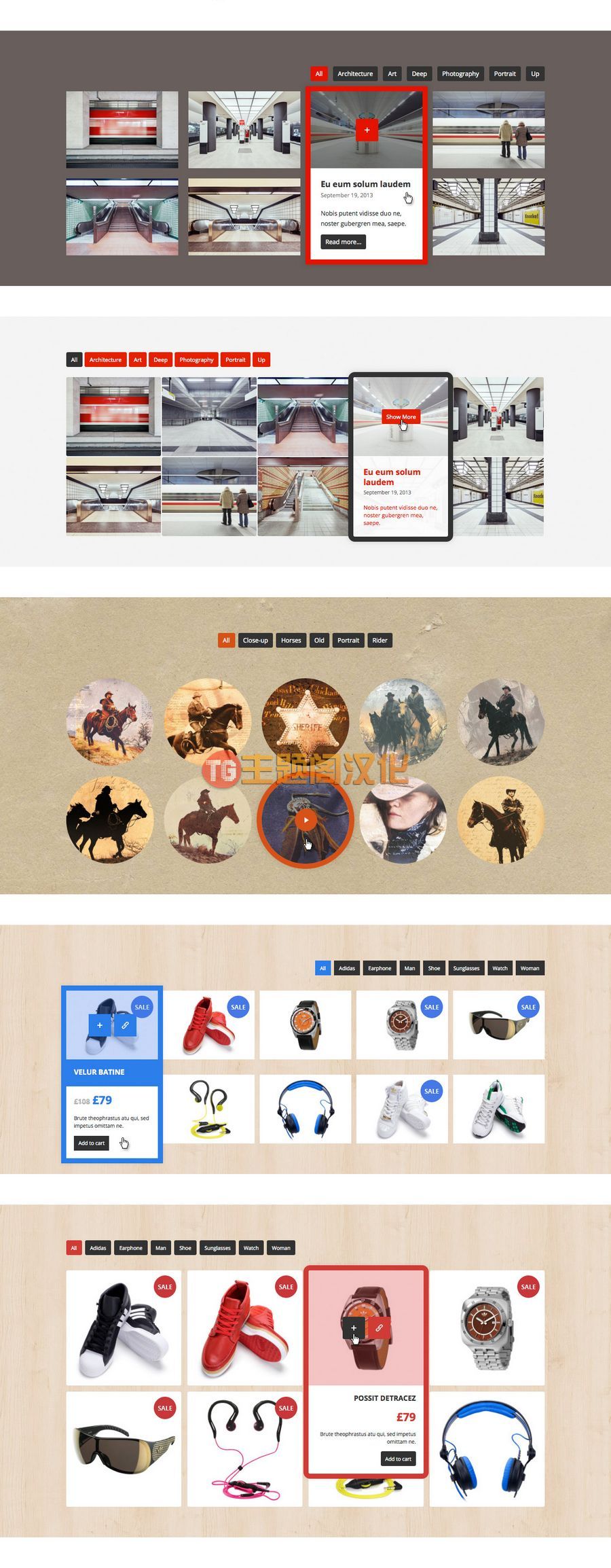 Go Portfolio汉化版(v1.8.4)响应式作品集WordPress插件 - 图片2
