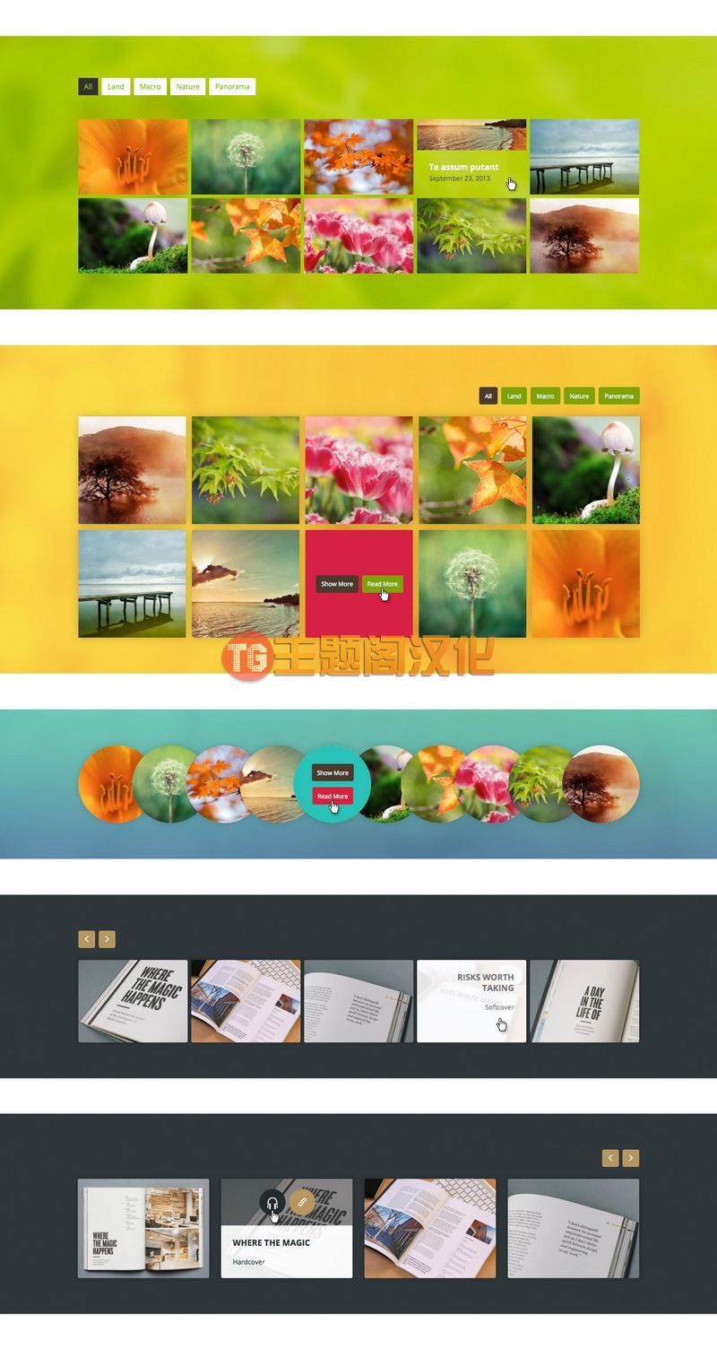 Go Portfolio汉化版(v1.8.4)响应式作品集WordPress插件 - 图片3