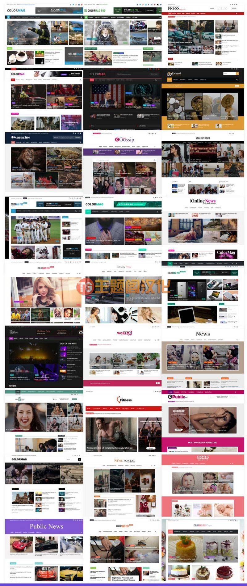 ColorMag Pro汉化版(v5.0.29)新闻杂志博客WordPress主题 - 图片1 ColorMag Pro汉化版(v5.0.29)新闻杂志博客WordPress主题 - 图片1