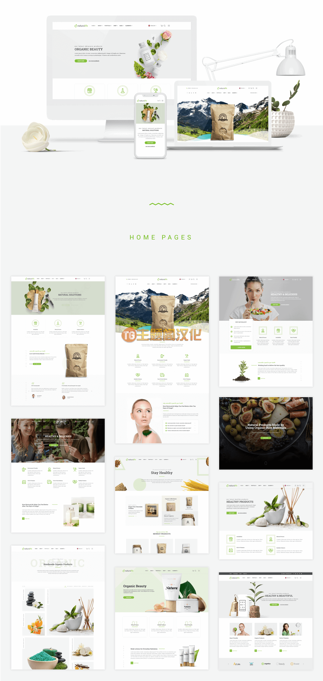 NaturaLife 2.2 健康养生与有机食品WordPress主题 NaturaLife 2.2 健康养生与有机食品WordPress主题