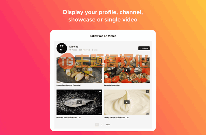 WordPress插件Vimeo Gallery 1.1.2 Vimeo视频画廊WP插件 Vimeo视频播放器 - 图片2