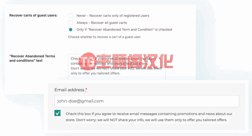YITH Recover Abandoned Cart Premium汉化版v3.14_恢复丢弃购物车插件 - 图片4