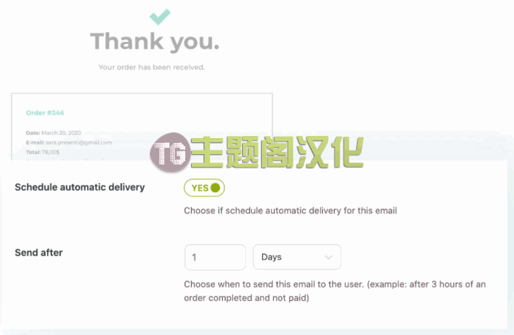 YITH Recover Abandoned Cart Premium汉化版v3.14_恢复丢弃购物车插件 - 图片6