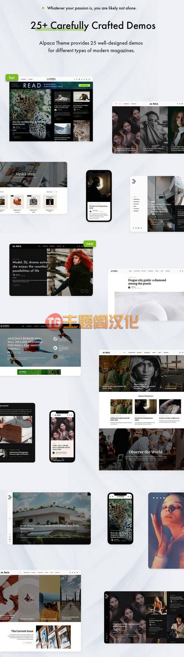 WordPress主题Alpaca 1.1.1 专业时尚博客和杂志网站WP主题 - 图片2 WordPress主题Alpaca 1.1.1 专业时尚博客和杂志网站WP主题 - 图片2