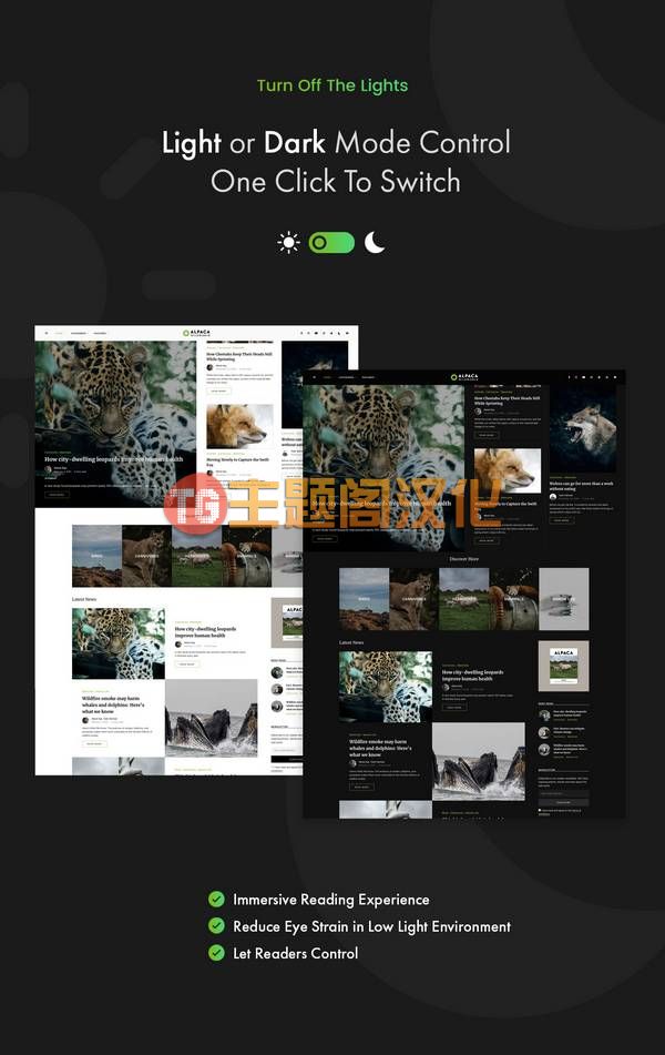 WordPress主题Alpaca 1.1.1 专业时尚博客和杂志网站WP主题 - 图片3 WordPress主题Alpaca 1.1.1 专业时尚博客和杂志网站WP主题 - 图片3