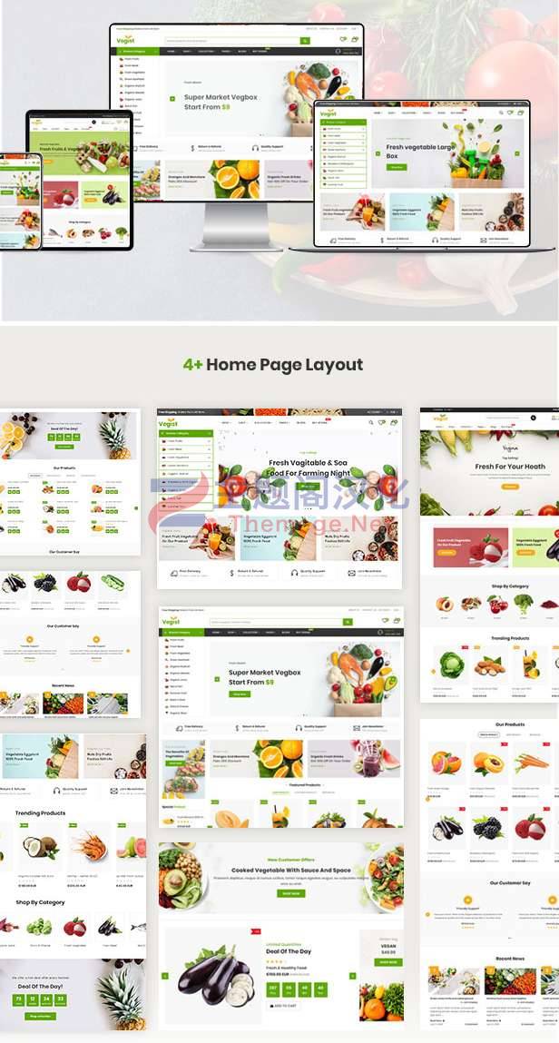 Shopify主题Vegist 1.14 蔬菜超市有机食品外贸电商Shopify主题 - 图片2
