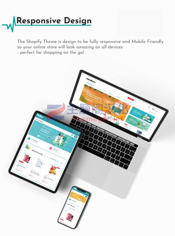 Shopify主题Mallon 1.0.1 医药品医疗器械外贸电商Shopify模板 - 图片2