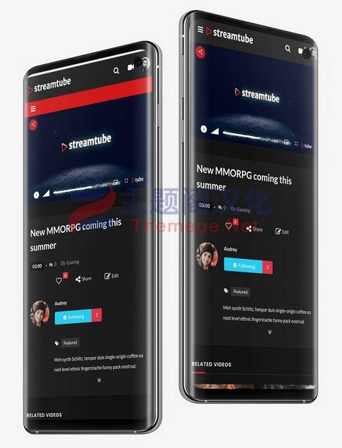 StreamTube汉化版V4.16.1_WordPress影视点播视频网站主题 - 图片3 StreamTube汉化版V4.16.1_WordPress影视点播视频网站主题 - 图片3