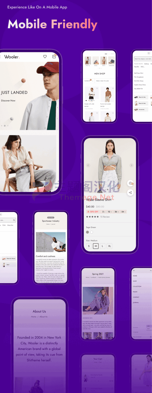 Wooler 1.0.9 高转化率优化外贸电商WooCommerce主题 - 图片3