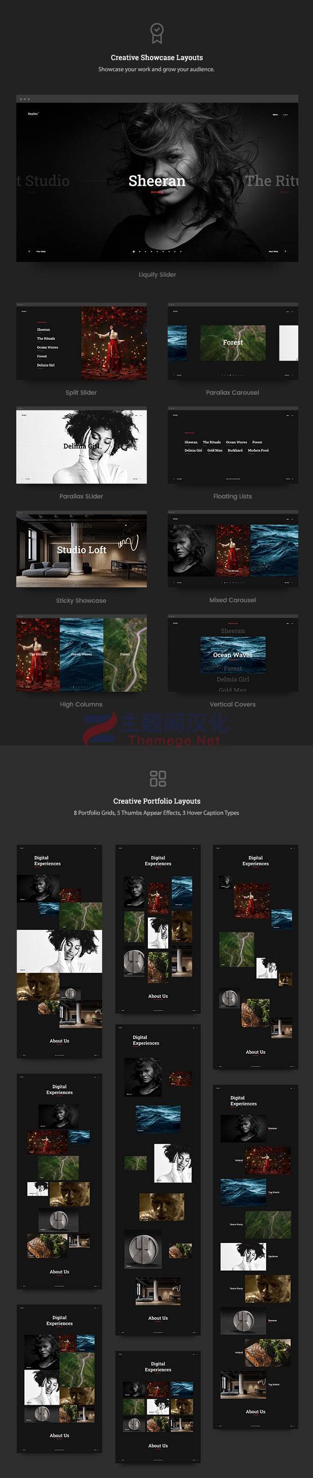 WordPress主题Rayden创意摄影设计作品集展示网站V1.9.1 - 图片2