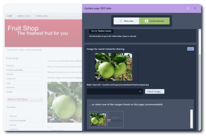 4SEO多功能网站SEO优化Joomla插件V6.6.1.2579 - 图片6 4SEO多功能网站SEO优化Joomla插件V6.6.1.2579 - 图片6