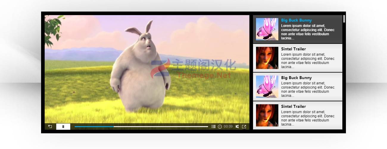 响应式HTML5视频播放器WordPress插件HTML5 Video Player中文汉化版 5.3.4 - 图片2