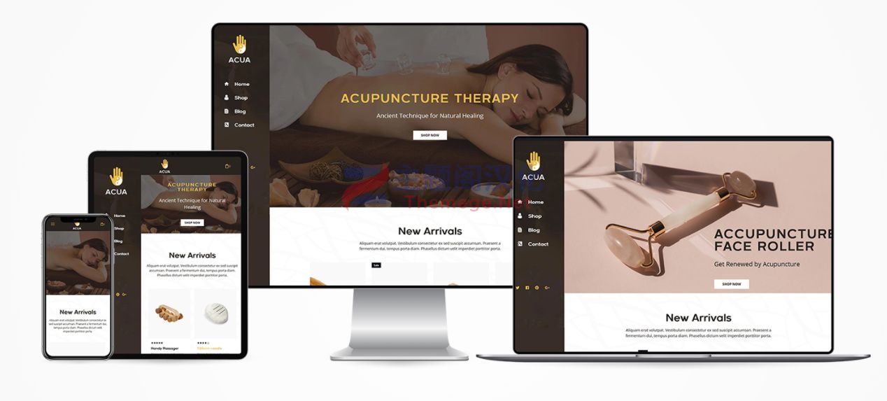 Shopify主题Acua 1.0 医疗针灸治疗理疗|脊椎按摩治疗中心网站Shopify模版 - 图片2 Shopify主题Acua 1.0 医疗针灸治疗理疗|脊椎按摩治疗中心网站Shopify模版 - 图片2