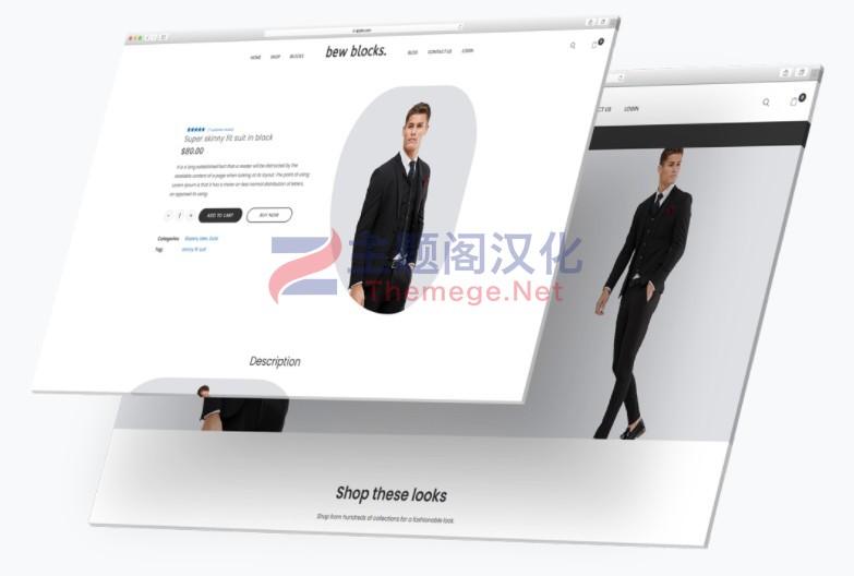 Briefcase电商页面编辑元素Elementor组件V2.4.3+组件包 - 图片3