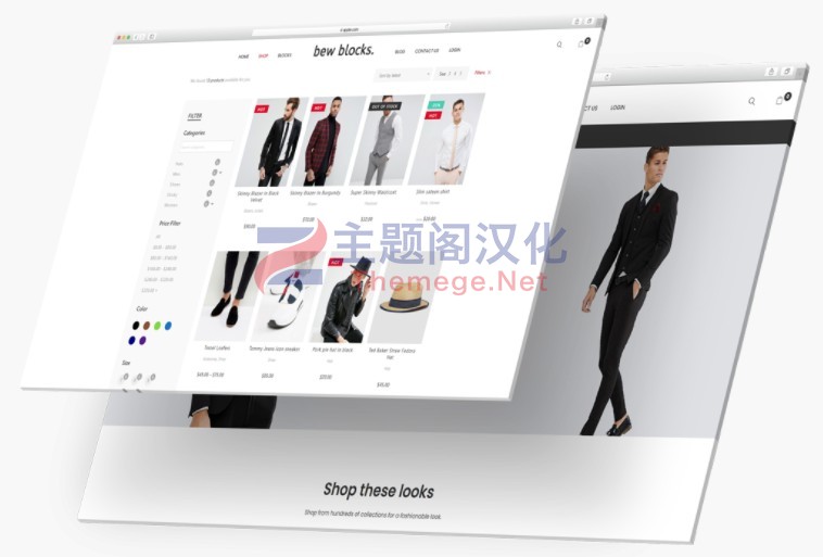Briefcase电商页面编辑元素Elementor组件V2.4.3+组件包 - 图片5
