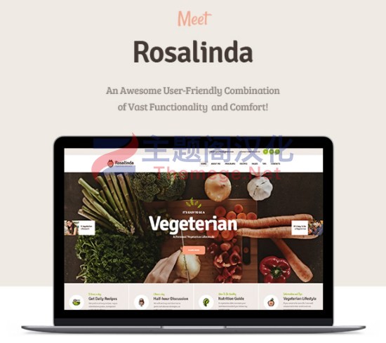 Rosalinda健康饮食和素食生活方式博客WordPress主题 - 图片3