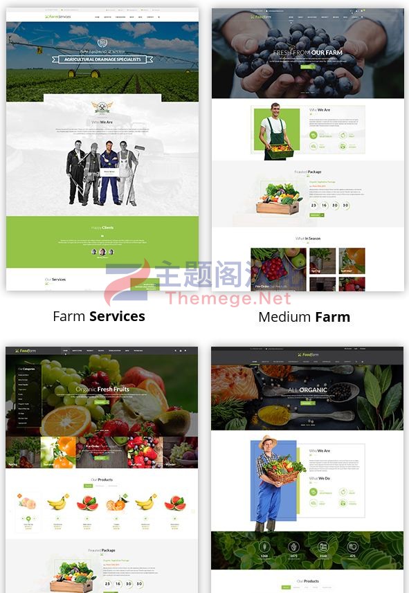 WordPress主题FoodFarm生态农场养殖场食品加工厂网站模板(销量1,089套) - 图片2