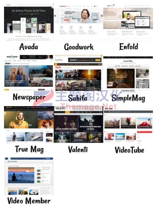 MediaImporter Pro社交网媒体导入器WordPress插件V4.8 - 图片3 MediaImporter Pro社交网媒体导入器WordPress插件V4.8 - 图片3