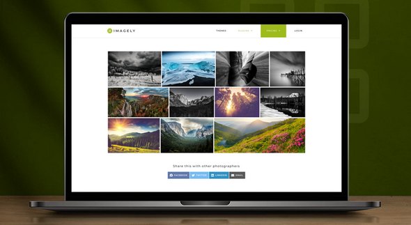 NextGEN Pro汉化版V3.30.0 画廊照片库作品集管理WordPress插件 - 图片1 NextGEN Pro汉化版V3.30.0 画廊照片库作品集管理WordPress插件 - 图片1