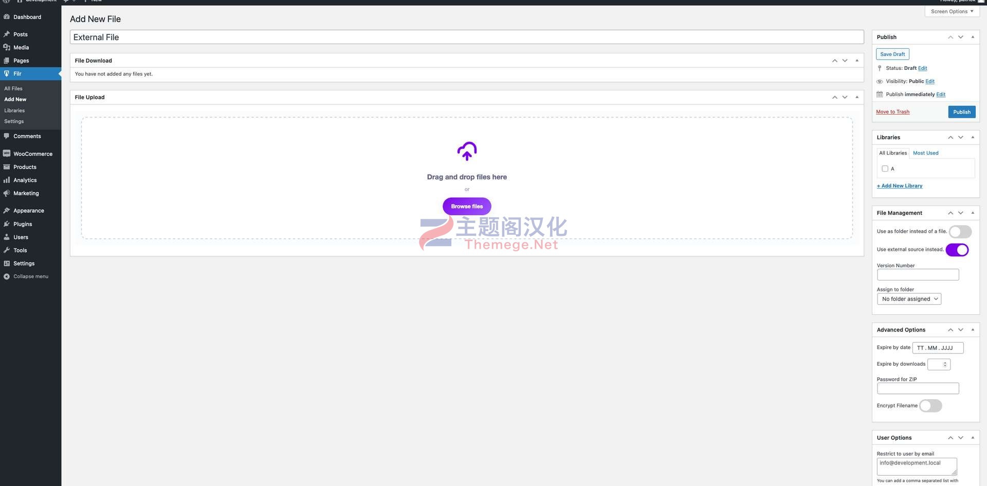 安全文件管理和下载管理器WordPress插件FDown Pro汉化版 1.2.2 - 图片2