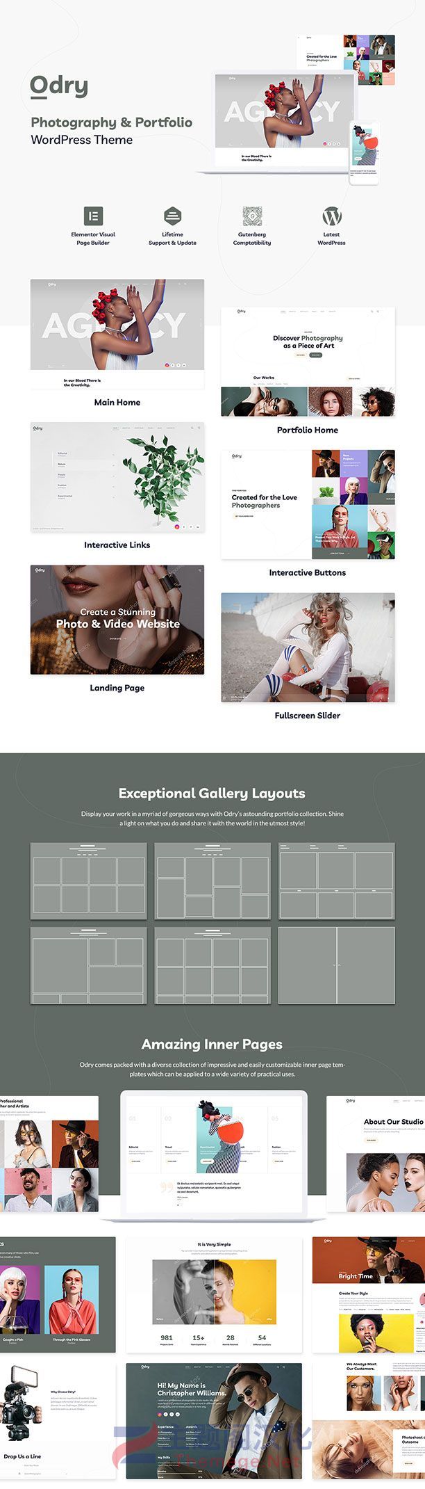Odry摄影设计作品集展示WordPress主题V1.1.8 - 图片2 Odry摄影设计作品集展示WordPress主题V1.1.8 - 图片2