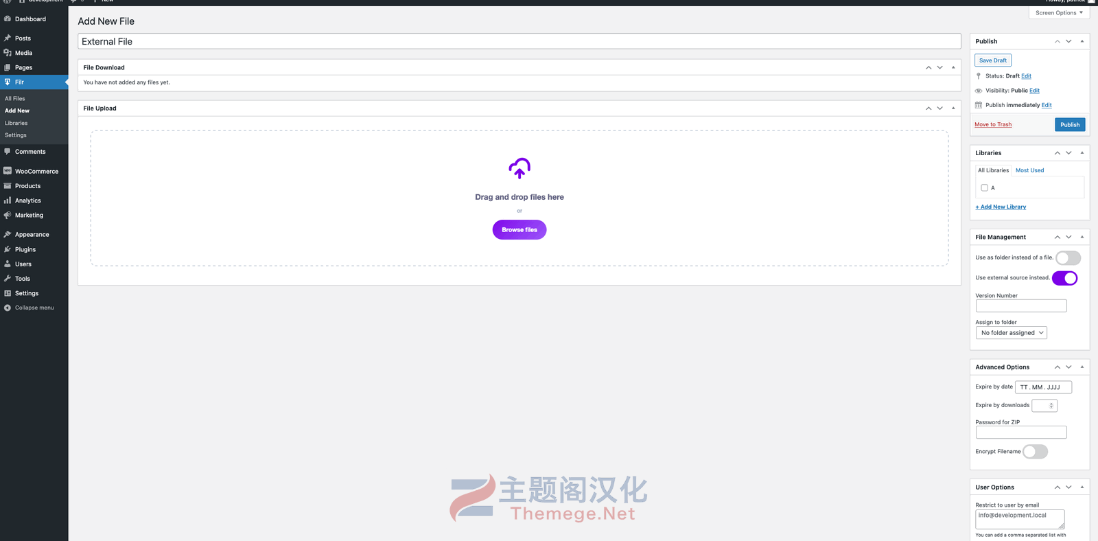 上传文件安全保护管理WordPress插件Filr Premium 1.2.2 免激活版 - 图片2