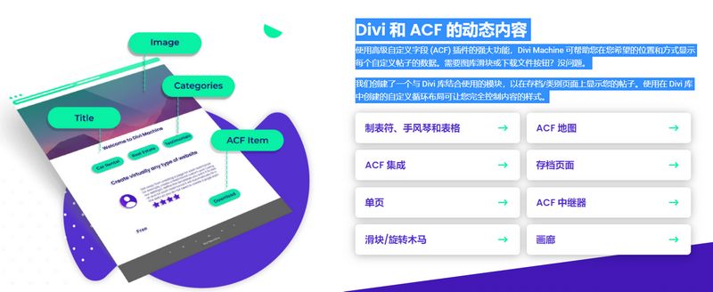 Divi Machine破解版_页面动态内容生成器WordPress插件 - 图片2