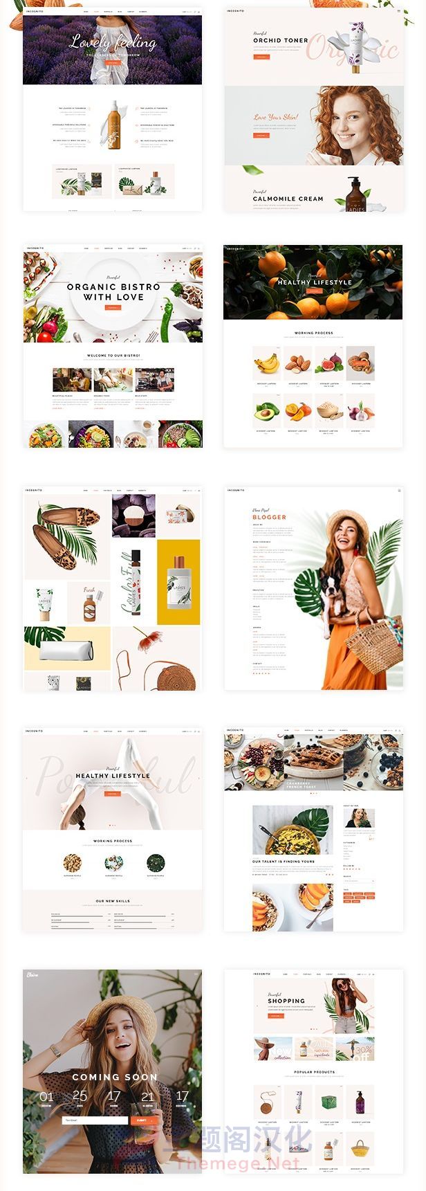 Elaine营养保健美容美食博客网站WordPress主题V1.6.1 - 图片3