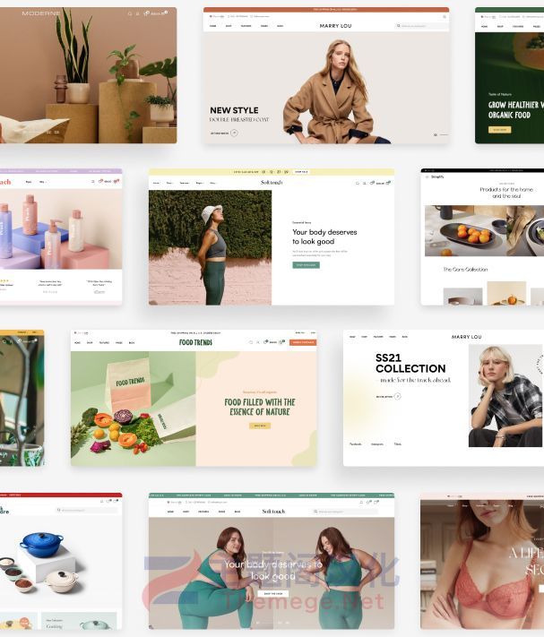 Ecomm破解版v2.0.9 化妆品服装跨境电商WooCommerce主题 - 图片2 Ecomm破解版v2.0.9 化妆品服装跨境电商WooCommerce主题 - 图片2