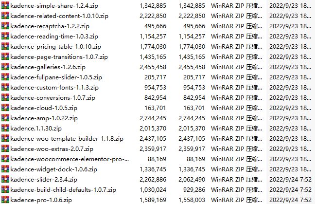 Kadence Pro_高级功能扩展WordPress插件 + 19款组件包 - 图片2