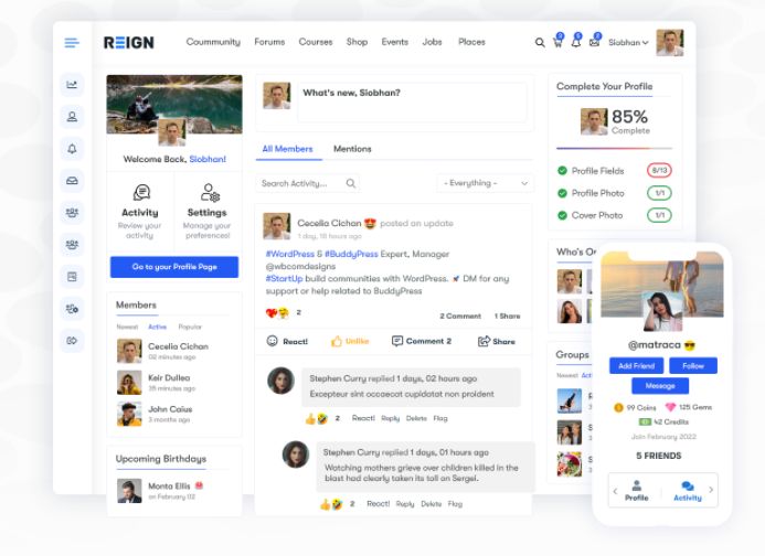WordPress主题Reign 6.8.9 响应式在线社区社交网站模板 - 图片2