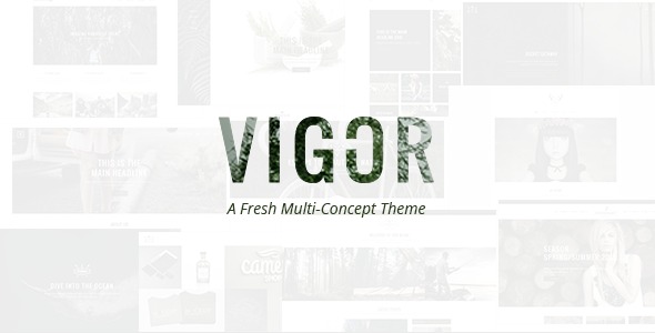 Vigor复古风艺术家作品集展示WordPress主题V3.3 Vigor复古风艺术家作品集展示WordPress主题V3.3