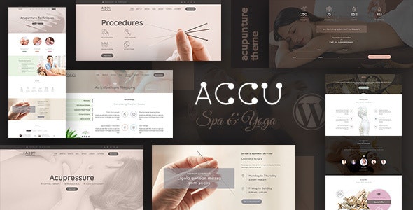 Accu破解版v3.8:中医针灸按摩理疗网站模板WordPress主题 - 图片1 Accu破解版v3.8:中医针灸按摩理疗网站模板WordPress主题 - 图片1