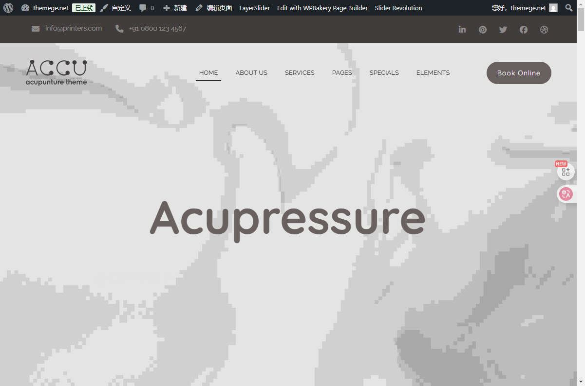 Accu破解版v3.8:中医针灸按摩理疗网站模板WordPress主题 - 图片3 Accu破解版v3.8:中医针灸按摩理疗网站模板WordPress主题 - 图片3